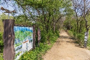 광나루한강공원 암사생태공원