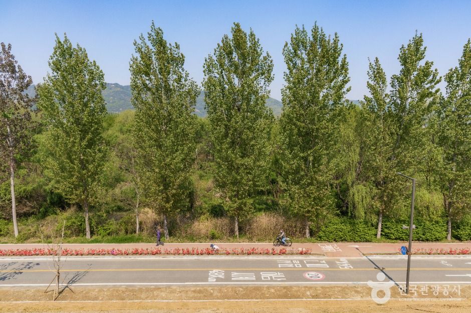 서울_광나루한강공원 암사생태공원 (3)