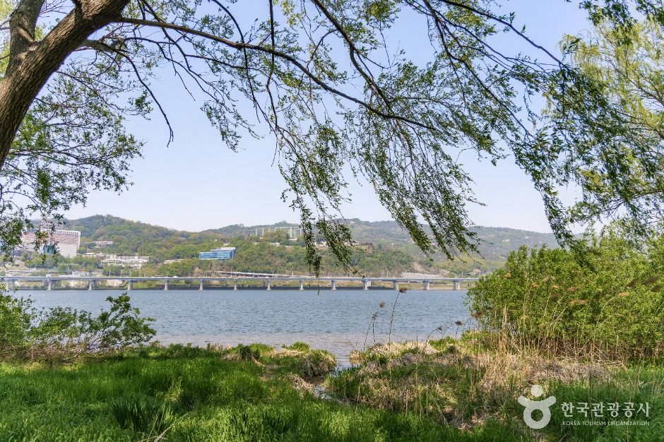 서울_광나루한강공원 암사생태공원 (5)