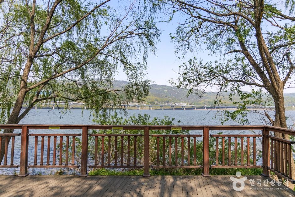 서울_광나루한강공원 암사생태공원 (6)