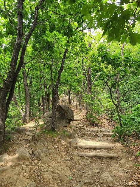 서울_구룡산(서울) (4)