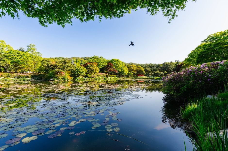서울_국립서울현충원 (2)