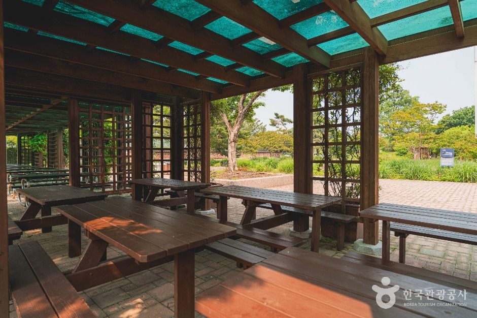 서울_국립중앙박물관 전통염료식물원 (7)