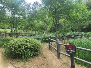 관악산 선우공원