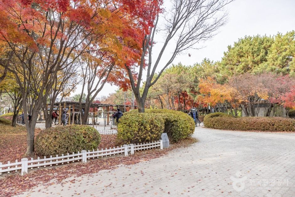 서울금천_금천 체육공원 (2)