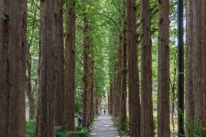 서초문화예술공원