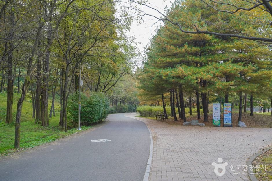 서울_난지천공원 (3)