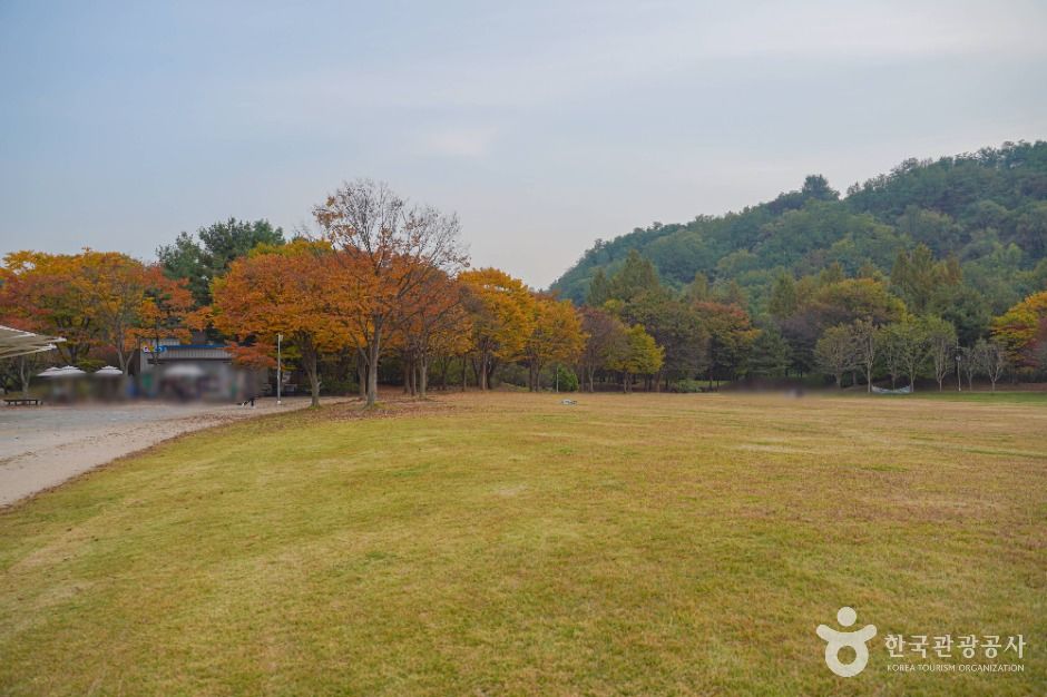 서울_난지천공원 (5)