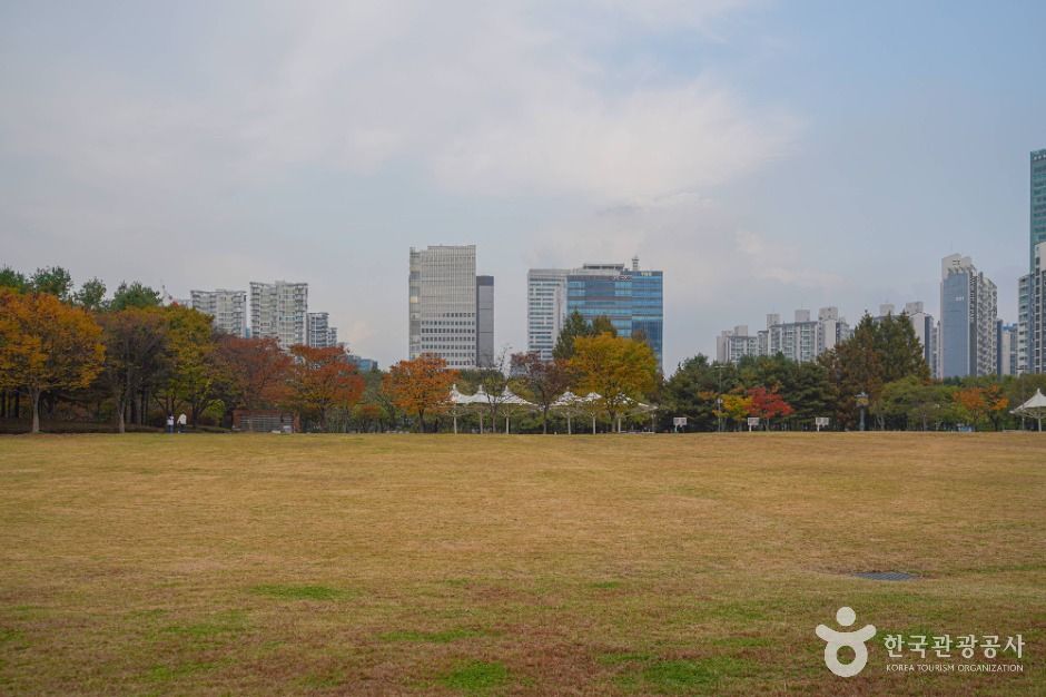 서울_난지천공원 (8)