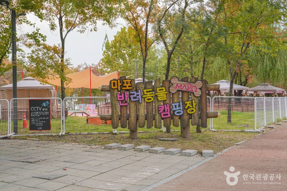 서울_난지한강공원 (10)