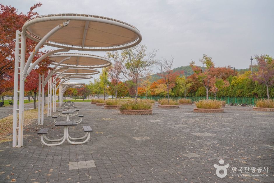 서울_난지한강공원 (7)