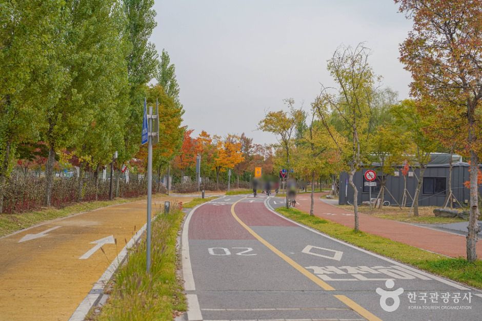 서울_난지한강공원 (9)