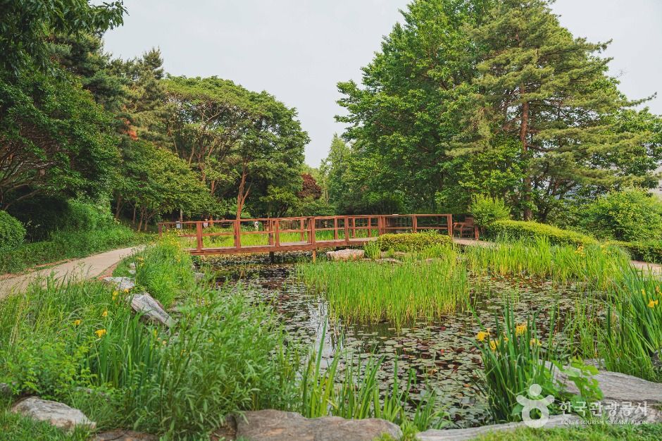 남산 야외식물원