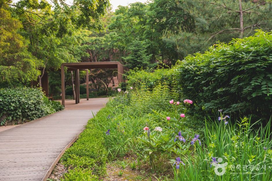 서울_남산 야외식물원 (2)