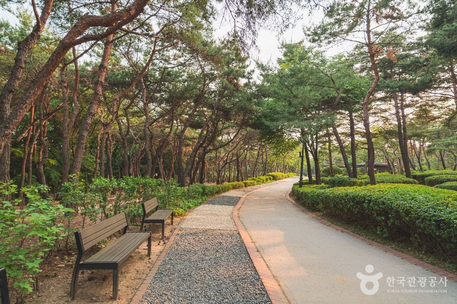 서울_남산 야외식물원 (3)