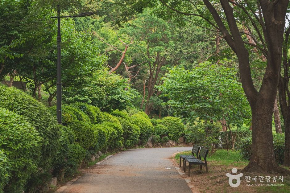 서울_남산 야외식물원 (4)