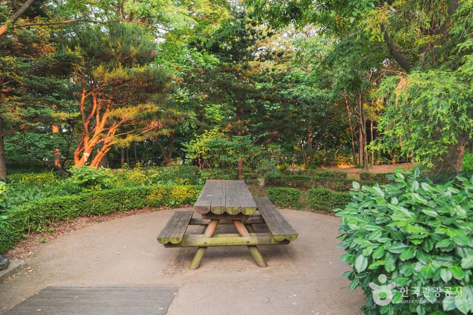 서울_남산 야외식물원 (5)