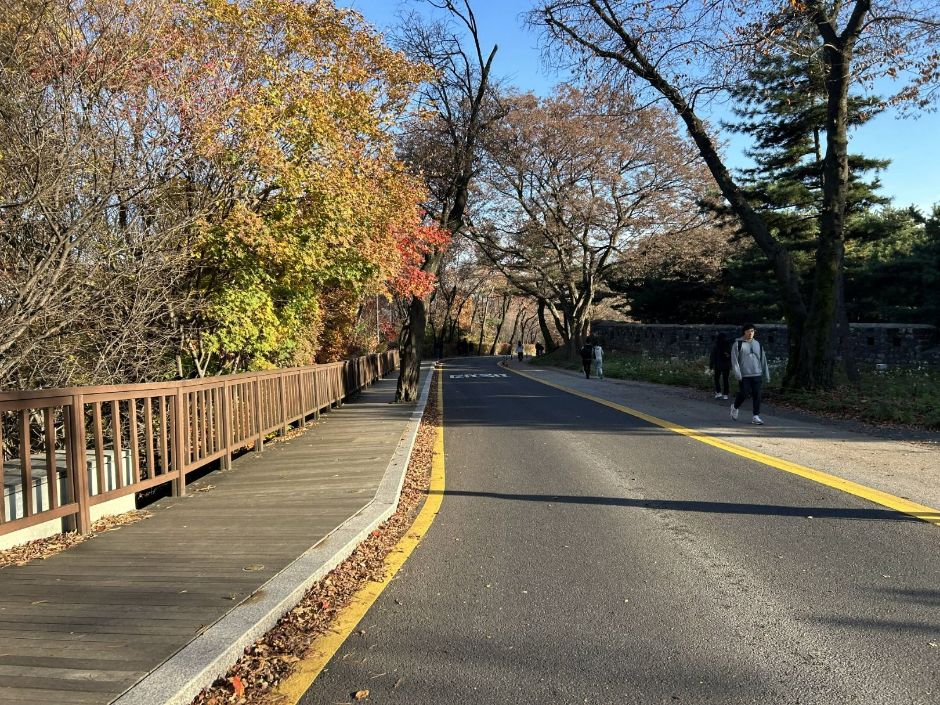 남산순환나들길_1