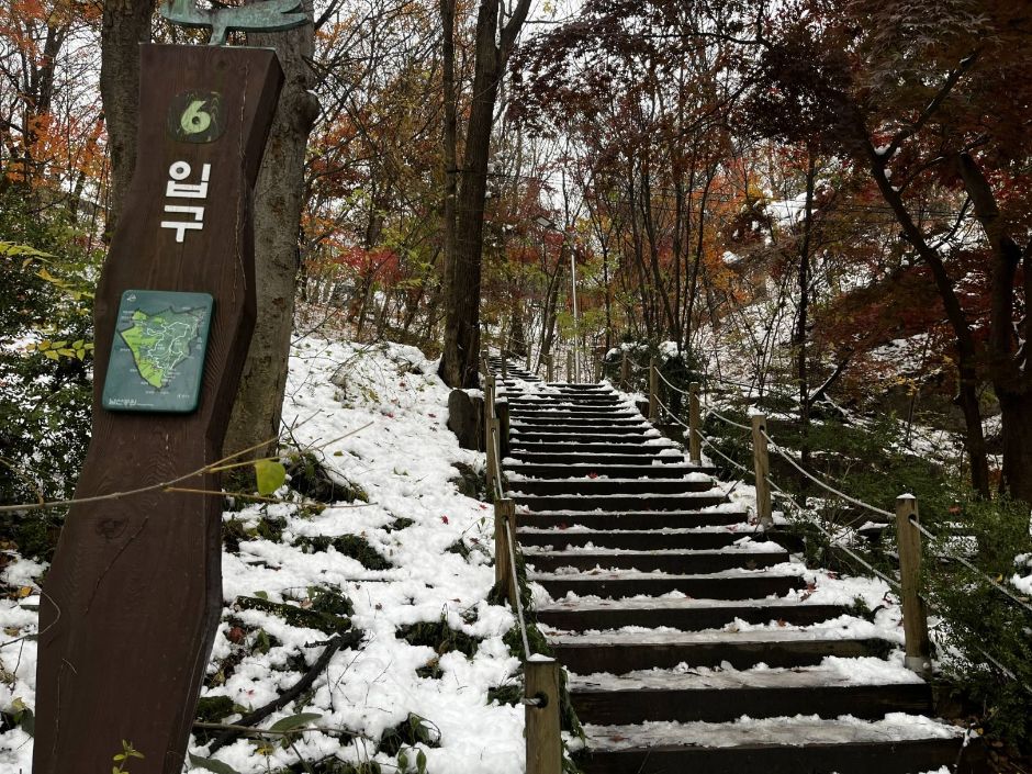 남산인권 숲_ 계단 입구