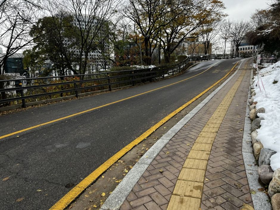 남산인권숲_경사로,보도블럭