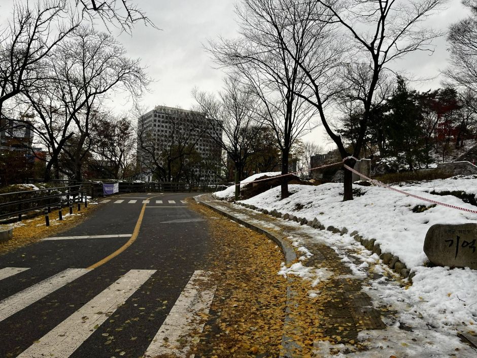 남산인권숲_경사로