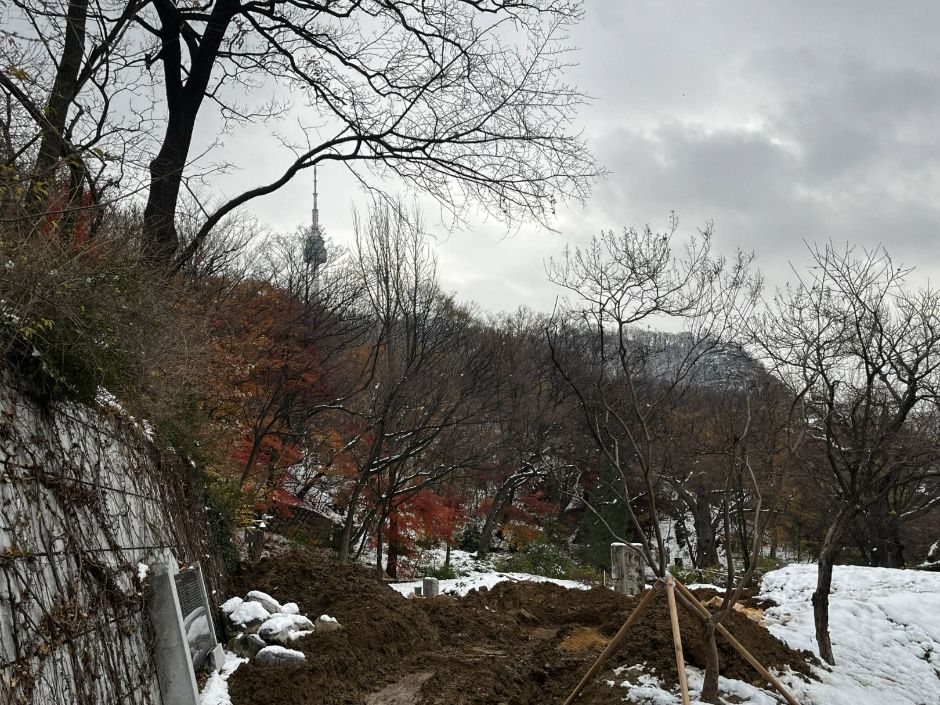 남산인권숲_풍경2