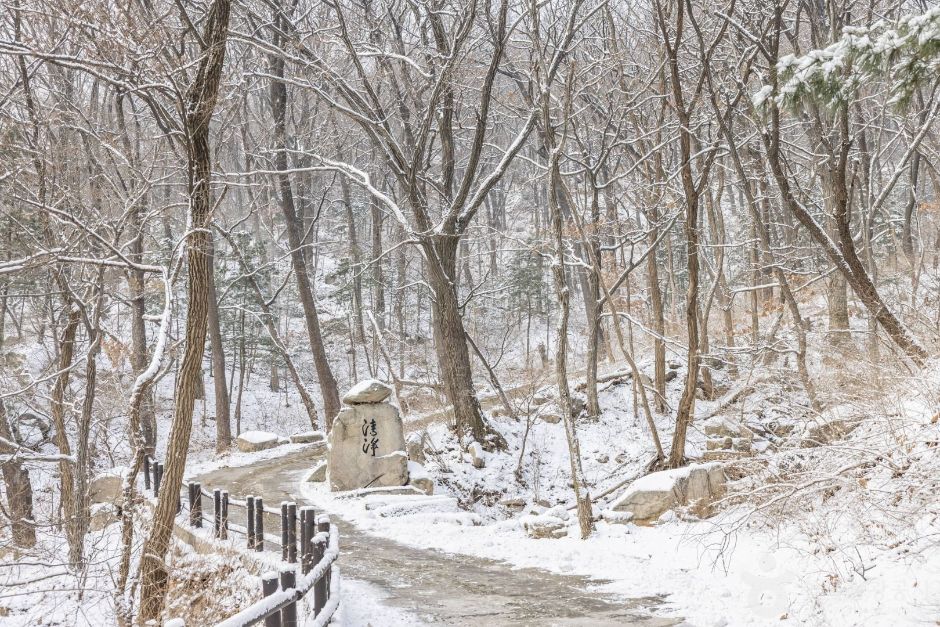 서울성북_내원사(서울) (1)