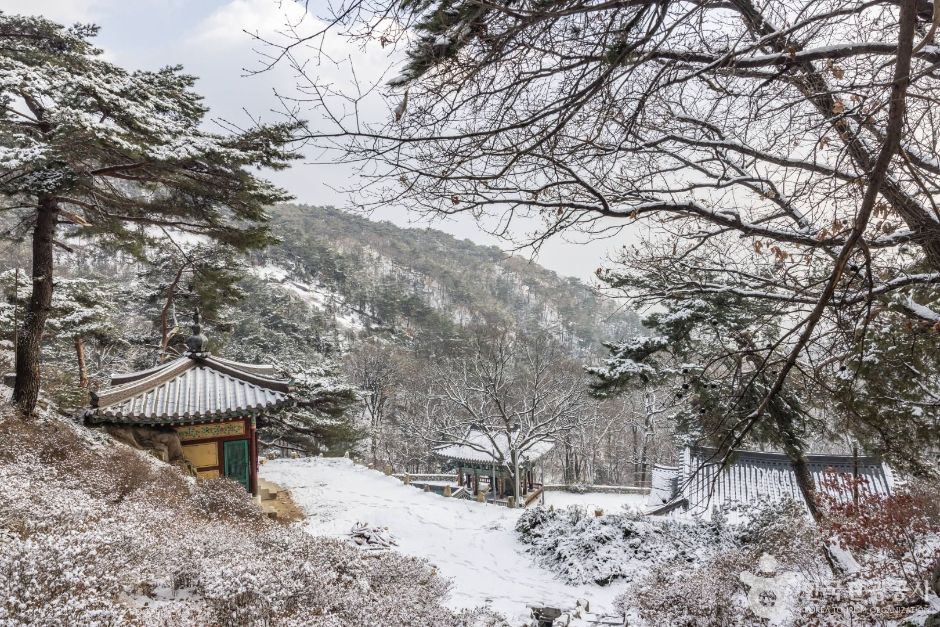 서울성북_내원사(서울) (10)