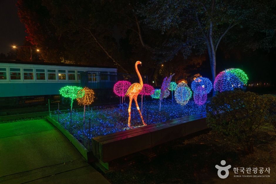 서울_노원 불빛정원 (5)