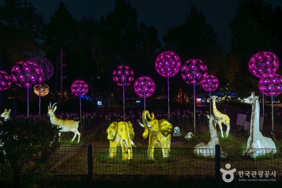 서울_노원 불빛정원 (6)