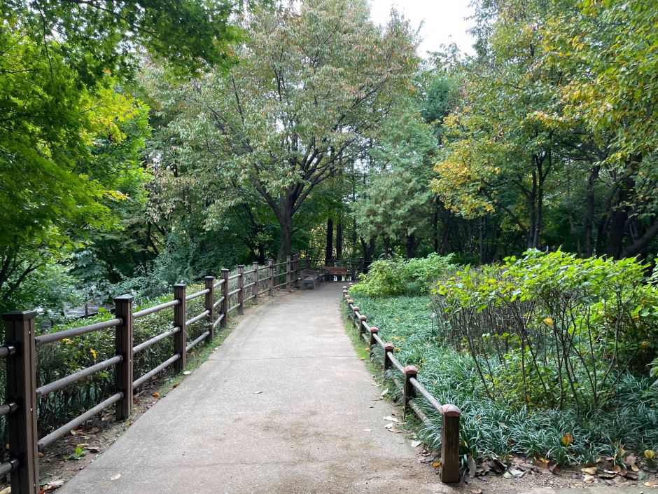 녹번서공원_산책로3