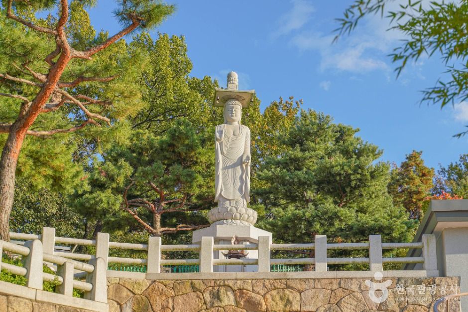 서울_달마사(서울) (3)