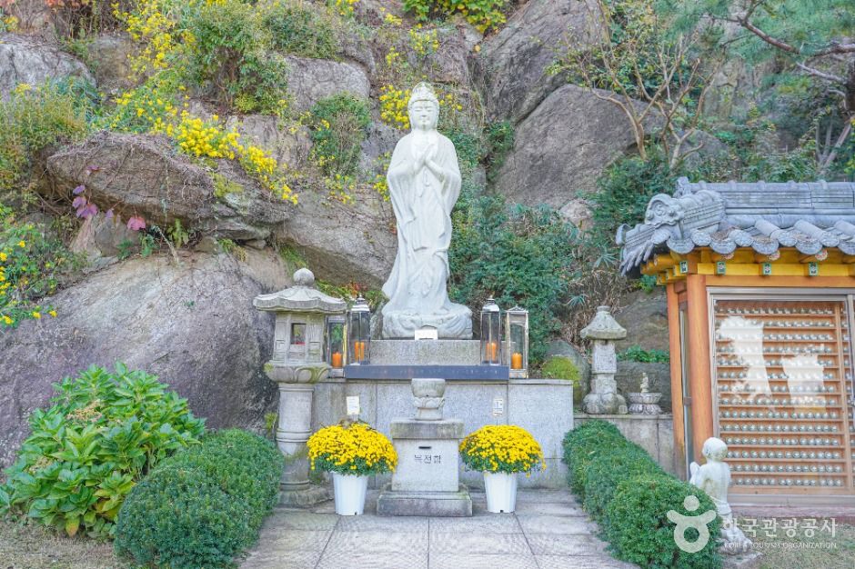 서울_달마사(서울) (7)