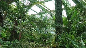 서울숲 곤충식물원