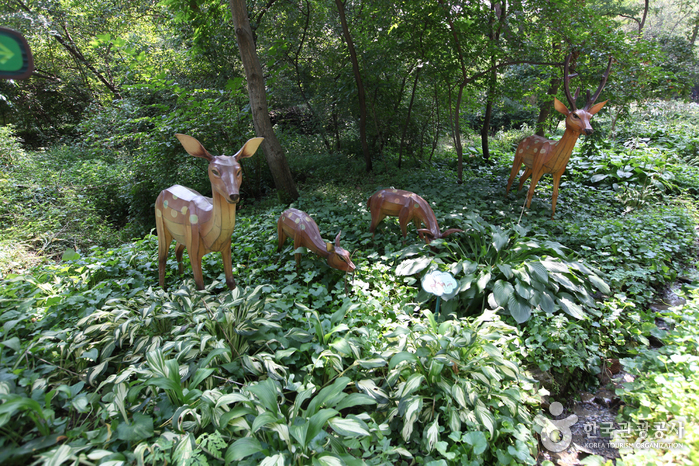 대모산자연공원