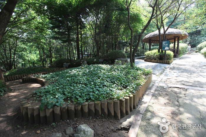 대모산자연공원