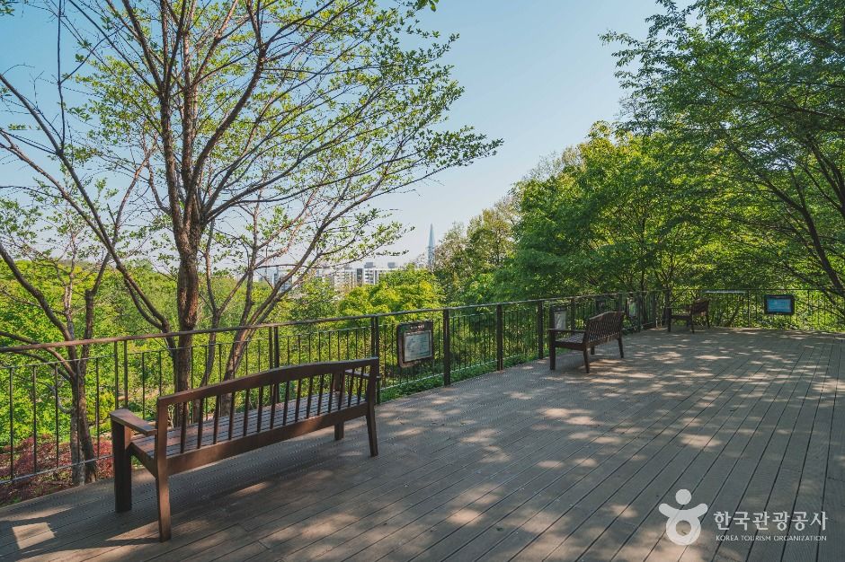 서울_대모산숲속야생화원 (5)