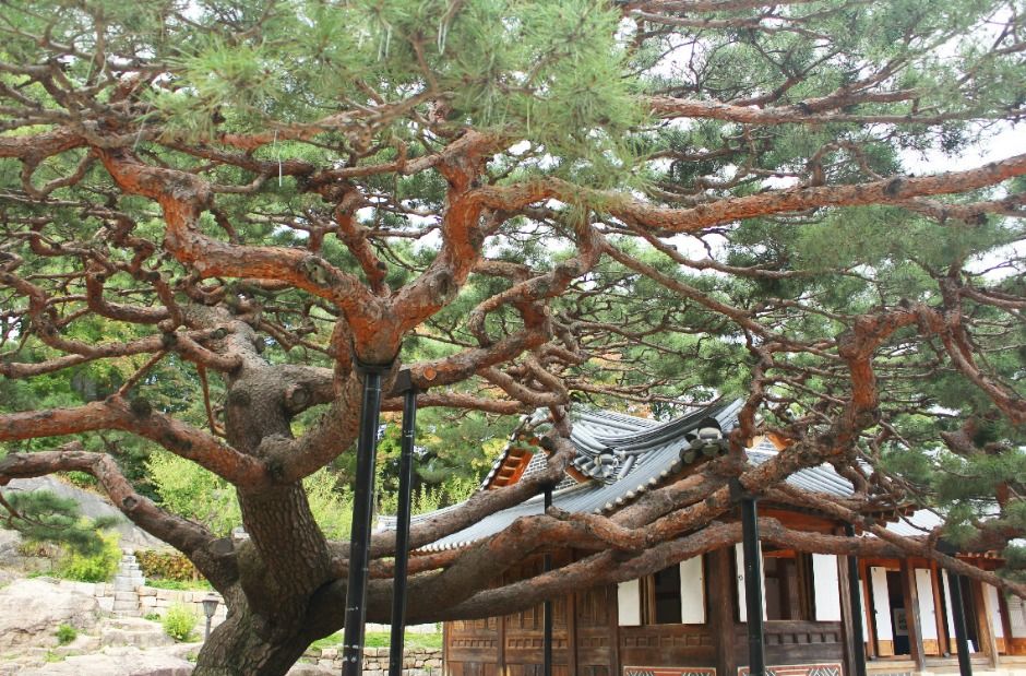 서울_대원군별장(석파정) (7)