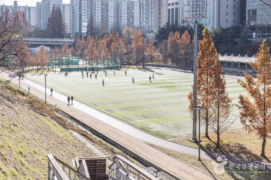 서울강남_대치유수지체육공원 (1)