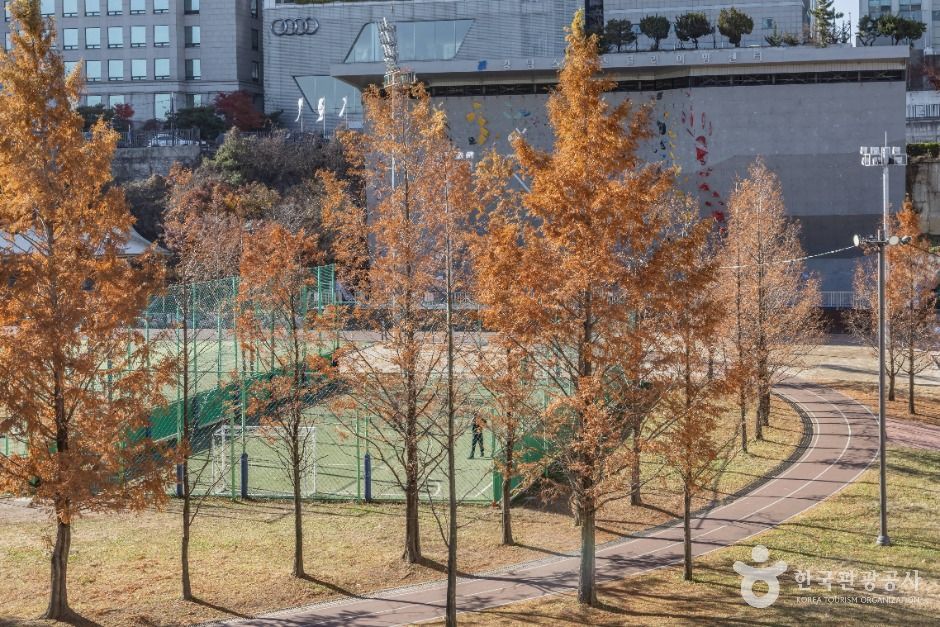 서울강남_대치유수지체육공원 (2)