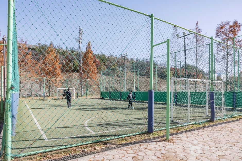 서울강남_대치유수지체육공원 (3)