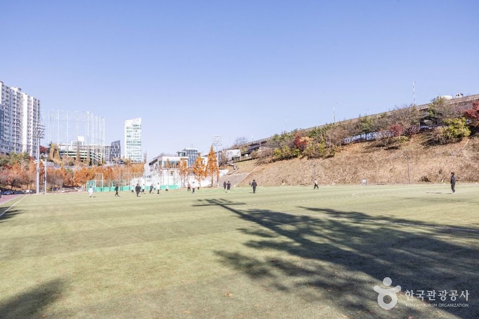 서울강남_대치유수지체육공원 (5)