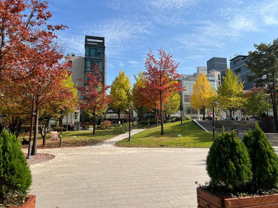 대현문화공원_공원 내부 전경(2)