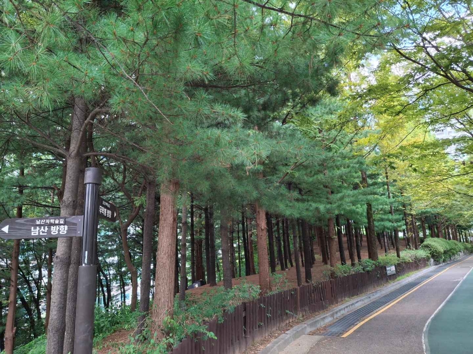 서울_대현산배수지공원 대현산배수지공원 모노레일 (8)