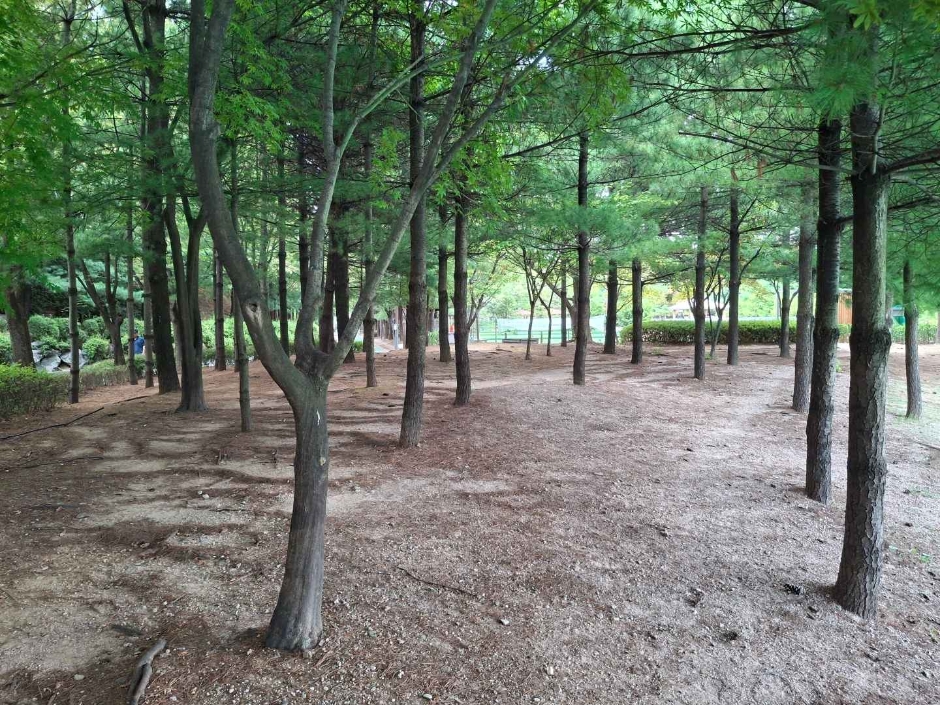 서울_대현산배수지공원 대현산배수지공원 모노레일 (2)