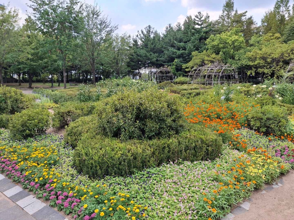 서울_대현산배수지공원 대현산배수지공원 모노레일 (5)