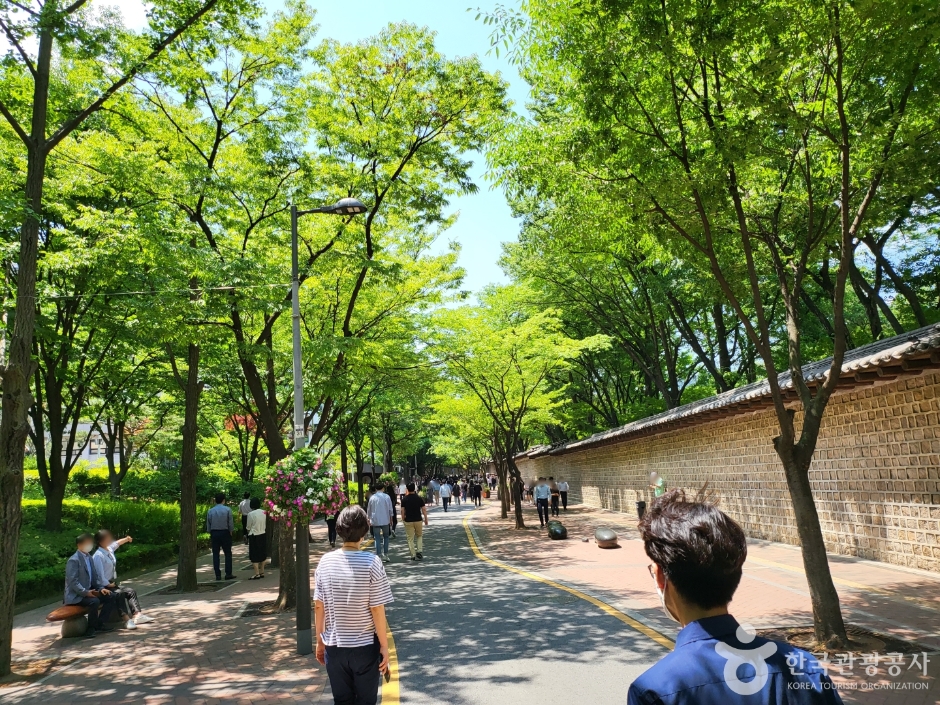 덕수궁돌담길 (1)