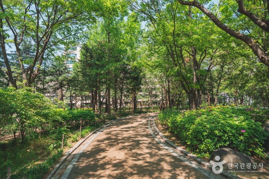 서울_도산공원 (5)