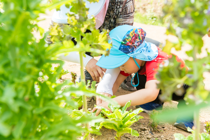 도시농업공원_4