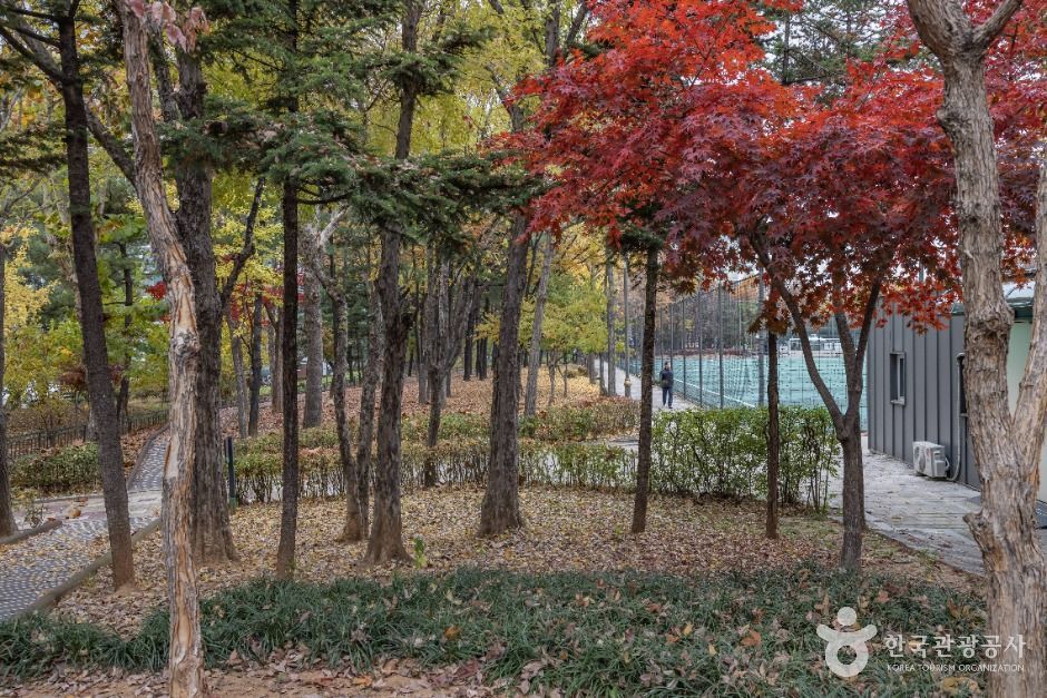 서울금천_독산근린공원 (3)